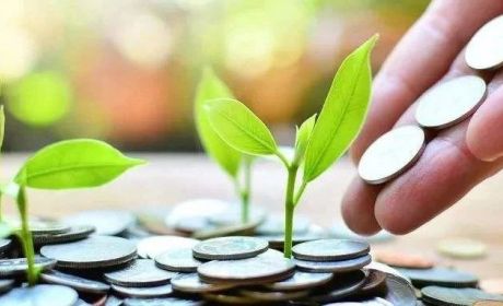 邱慈观：ESG评级会影响基金申购吗? | 洞见