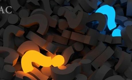 公司的税务居民身份判定——2019年底加拿大税案引发的思考