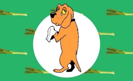 今天,又有一个影响钱袋子的大变化