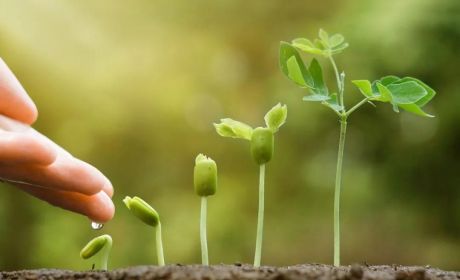 全球收入纳税申报要点解析：中国企业家和高净值人士如何应对个税申报？