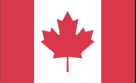 后疫情时代留学移民有哪些新趋势？| 加拿大前驻华大使John McCallum做客直播间