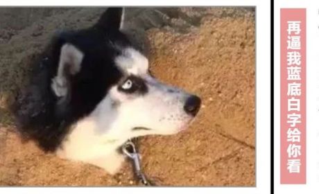 这次真的是全面封堵！金交所之后，轮到了私募