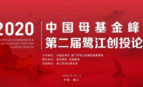 2020中国投资机构软实力GP & LP TOP100
