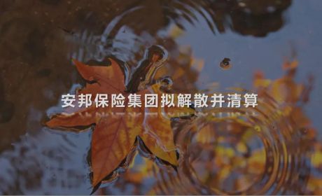 去年6亿理赔，不散买卖！不散交情！