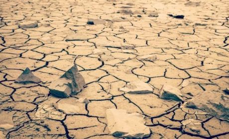 最近固收理财买什么好?