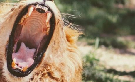 基金，这么卖，就快要吃人了