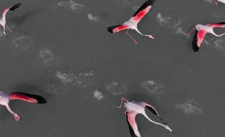 全球财富管理报告 | 洞见未来——财富管理机构的进阶之路