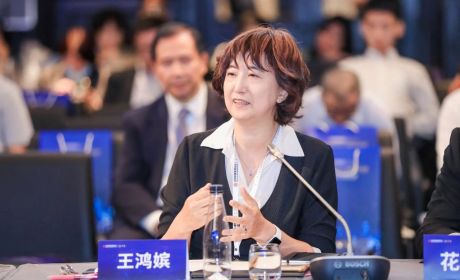 摩根士丹利华鑫总裁王鸿嫔：这种不公平竞争，归根是由监管标准差异造成