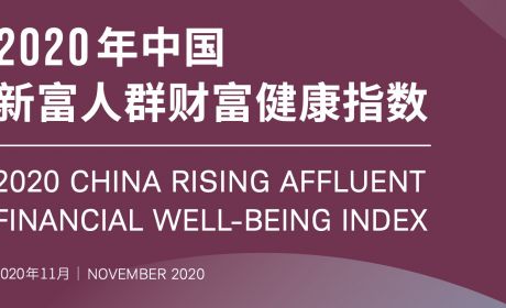 2020年中国新富人群财富健康指数