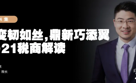 真「财」实料④ | 应变韧如丝，鼎新巧添翼：2021税商解读