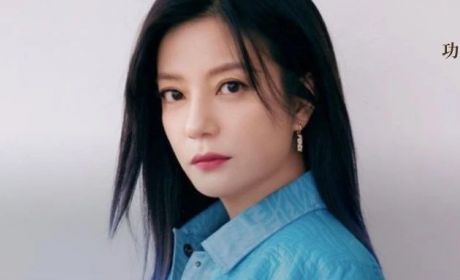 赵薇的事，到底有多大