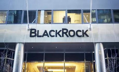 透视外资公募巨头贝莱德