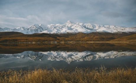 2022市场展望 | 李迅雷：水往何处流