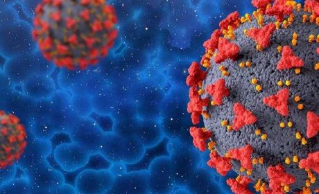 “奥密克戎”扩散全球，我们的理财是否要调整?