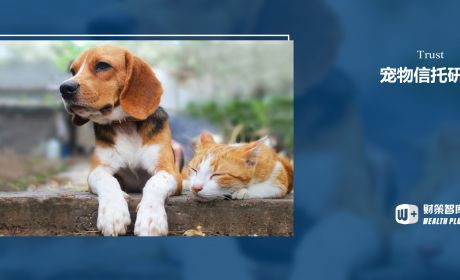 宠物也能成为信托受益对象？一文了解宠物信托