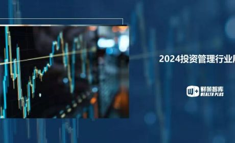 在变革中前行：2024年投资管理行业的全景剖析