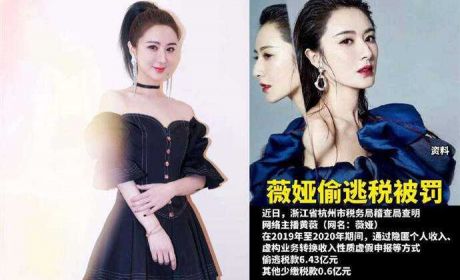 大数据时代的个人财富管理：法律合规+道德无亏——从薇娅税案说起