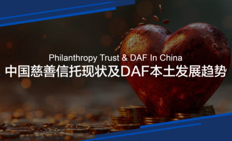 绘制影响力：中国慈善信托现状及DAF本土发展趋势