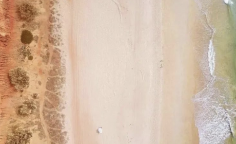 基业长青：中国家族企业的过去、现在与未来