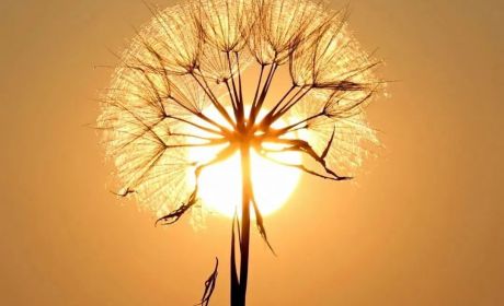 设立大额慈善信托需要考虑什么？