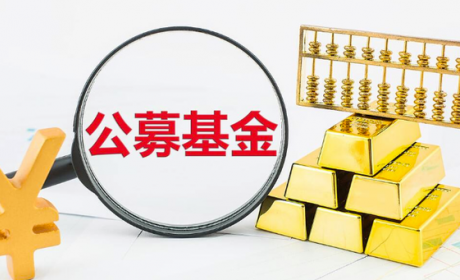 《公募权益类基金投资者盈利洞察报告》全文来了！