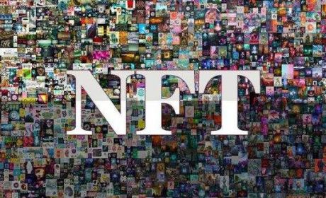 上海官宣支持NFT交易平台，投资人如何筛选优质NFT平台投资标的？