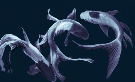 【未来银行】推动理财行业良性生态建设，重塑理财公司风险管理体系